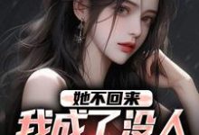 她不回来，我成了没人敢惹的混混小说最新更新在哪里？免费在线看-疯狂文学