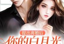 完结版《提出离婚后，你的白月光怎么不香了》章节目录在线阅读-疯狂文学