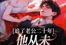 追了老公二十年，他从未认真对待我小说全文阅读需要付费吗？寻找免费资源-疯狂文学