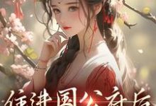 求住进国公府后，我成了香饽饽！小说免费资源-疯狂文学