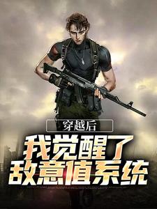 小说《穿越后，我觉醒了敌意值系统》在线章节阅读
