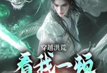 穿越洪荒：看我一顿骚操作吴天后土小说大结局免费试读-疯狂文学