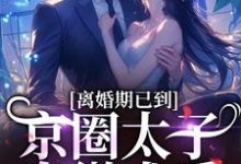 免费看离婚期已到!京圈太子卑微求爱小说的网站有哪些?-疯狂文学