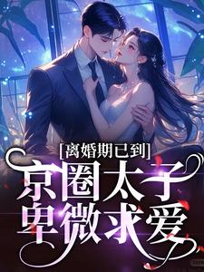 免费看离婚期已到！京圈太子卑微求爱小说的网站有哪些？