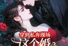 穿到私奔现场，这个婚离不了一点免费阅读，穿到私奔现场，这个婚离不了一点章节在线阅读-疯狂文学