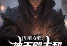 男强女强：神王殿主和女特工闪婚了（林晨叶寒霜）在线免费阅读-疯狂文学