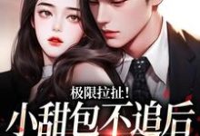 小说《极限拉扯！小甜包不追后男神他慌了》章节免费阅读-疯狂文学
