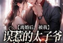 离婚后，被我误惹的太子爷接我回家小说，离婚后，被我误惹的太子爷接我回家最新章节-疯狂文学