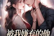 已完结小说《被我嫌弃的他，竟成了我的港湾》章节在线阅读-疯狂文学