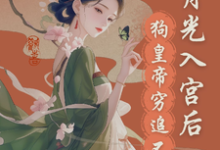 已完结小说《宫斗?这皇帝根本不让我玩》章节在线阅读-疯狂文学
