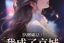闪婚霸总,我成了京城千亿宠儿章节免费在线阅读,沈瓷霍靳尧完结版-疯狂文学
