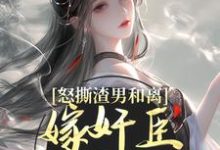 怒撕渣男和离，嫁奸臣高攀不起小说，怒撕渣男和离，嫁奸臣高攀不起章节在线阅读-疯狂文学