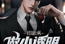 官途：从做小透明开始何涛，官途：从做小透明开始最新章节-疯狂文学