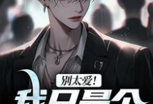 小说《别太爱！我只是个穷小子》章节阅读-疯狂文学