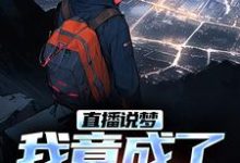 直播说梦，我竟成了预言家申媛，直播说梦，我竟成了预言家最新章节-疯狂文学