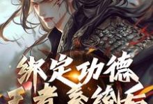 小说《绑定功德王者系统后，我举世无敌》章节阅读-疯狂文学