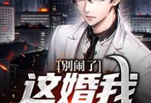 《别闹了，这婚我离定了》小说章节在线试读，《别闹了，这婚我离定了》最新章节目录-疯狂文学