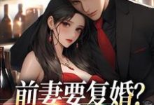 前妻要复婚？我让她跪着滚这本小说怎么样？免费在线阅读试试-疯狂文学