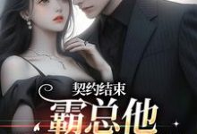 契约结束,霸总他跟我玩套路小说阅读,契约结束,霸总他跟我玩套路完结版-疯狂文学