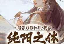 最强双修体质：我靠纯阳之体破境最新章节，最强双修体质：我靠纯阳之体破境免费阅读-疯狂文学
