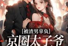 被渣男辜负，京圈太子爷化身治愈系沈颜季辞渊，被渣男辜负，京圈太子爷化身治愈系小说免费阅读-疯狂文学