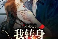 不爱后,我转身缠上霸总免费阅读,不爱后,我转身缠上霸总许南夕林淮年-疯狂文学