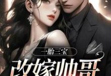 一胎三宝，改嫁帅哥就是宠！（林清月姚红艳）在线免费阅读-疯狂文学