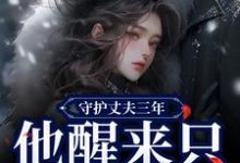 守护丈夫三年，他醒来只要白月光季司予鹿晚星小说在线章节目录阅读最新章节-疯狂文学