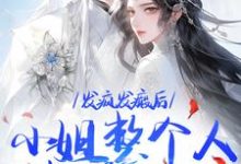 发疯发癫后,小姐整个人都美好了沈昭宁宋文轩小说大结局免费试读-疯狂文学