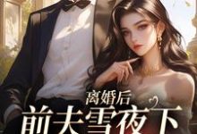 小说《离婚后，前夫雪夜下跪求回头》在线阅读-疯狂文学