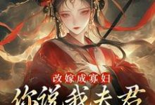 主角宋芜小说改嫁成寡妇,你说我夫君又复活了?免费阅读-疯狂文学