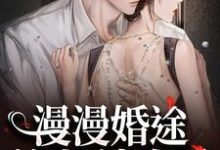 小说《漫漫婚途:前夫,请自重》在线阅读-疯狂文学