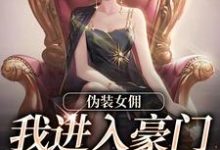 伪装女佣，我进入豪门乱杀复仇主角南熙子韩姝小说无删减版在线阅读-疯狂文学