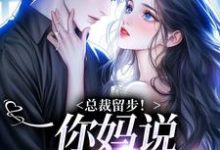 《总裁留步！你妈说让你娶我》小说大结局免费试读 霍司霆苏苒染小说-疯狂文学
