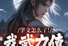 小说《学文怎么了!我武力值照样强》免费阅读-疯狂文学