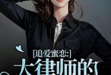 追爱蜜恋：大律师的惹火宝贝宋知薇秦律在线免费阅读-疯狂文学