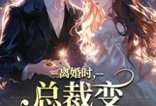 小说《离婚时,总裁变偏执病娇了》免费阅读-疯狂文学