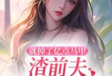 《就掉了亿点马甲，渣前夫哭着求复婚》全集免费在线阅读（楚骁寒叶幻竹）-疯狂文学