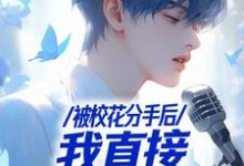 不当舔狗后，一首青花火爆全网苏灿小说在线免费阅读-疯狂文学
