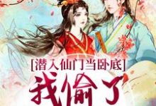 小说《潜入仙门当卧底，我偷了谪仙的心》在线阅读-疯狂文学