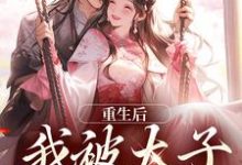 无删减版《重生后,我被太子缠上了》全章节阅读-疯狂文学