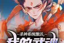 杀神系统激活,我的武魂是哪吒免费阅读,杀神系统激活,我的武魂是哪吒在线阅读-疯狂文学