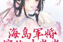 已完结小说《海岛军婚:嫁他生崽崽》在线阅读-疯狂文学