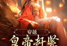 穿越：皇帝赶紧给我打江山小说免费资源，穿越：皇帝赶紧给我打江山在线阅读-疯狂文学