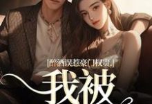 小说《醉酒误惹豪门权贵，我被霸宠了！》免费阅读-疯狂文学