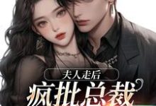 主角顾焕之苏妍小说夫人走后,疯批总裁寻遍全世界免费阅读-疯狂文学