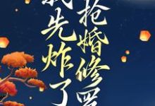 小说《穿越后,我先炸了抢婚修罗场》在线阅读-疯狂文学