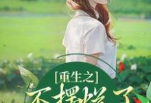 小说《重生之不摆烂了,我要当权臣》在线阅读-疯狂文学