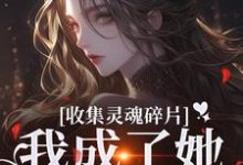 收集灵魂碎片，我成了她的心尖宠主角燕停裴训之小说无删减版在线阅读-疯狂文学