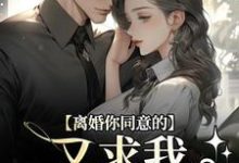 离婚你同意的，又求我复婚干什么周晏辰沈青漓小说在线免费阅读-疯狂文学